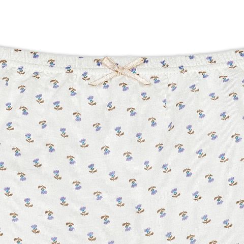 imgi_6_0cd7638e1cf56af39a3289520edff08a