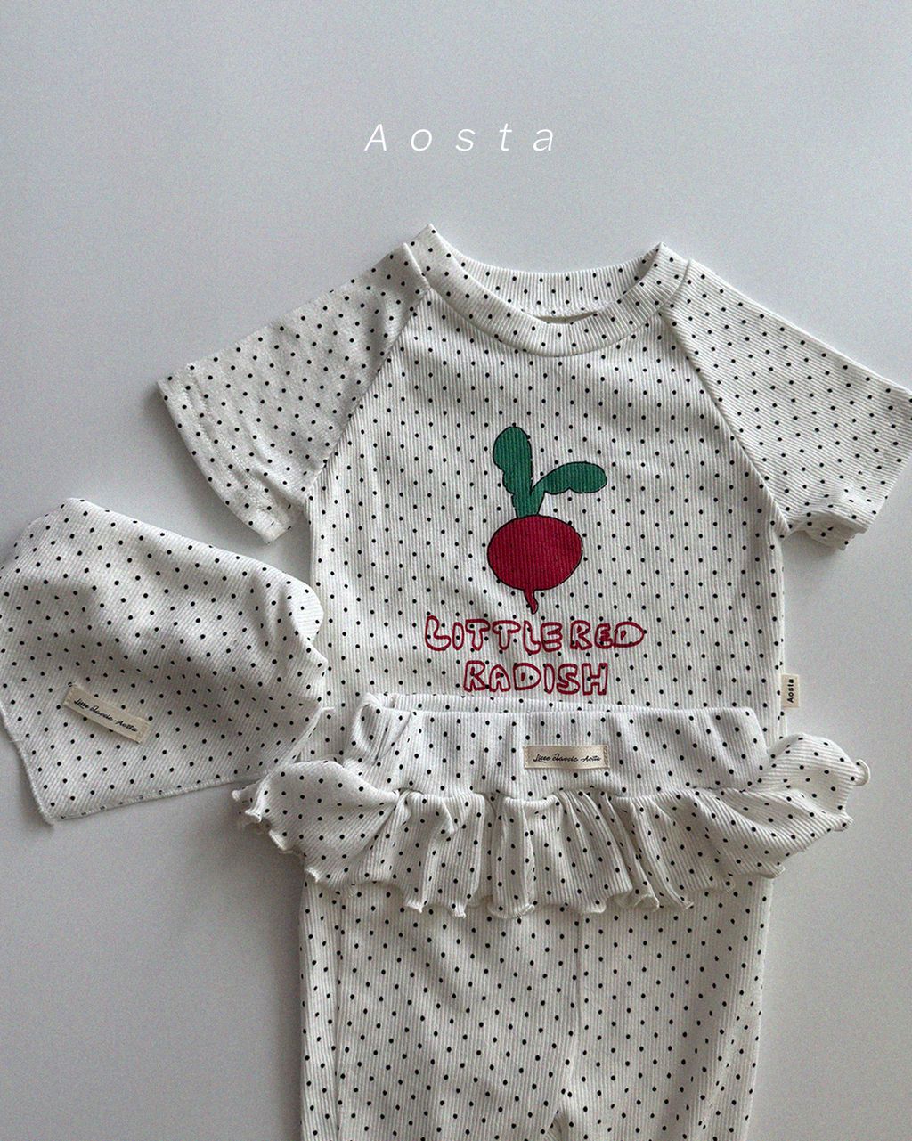 래디쉬티 도트6