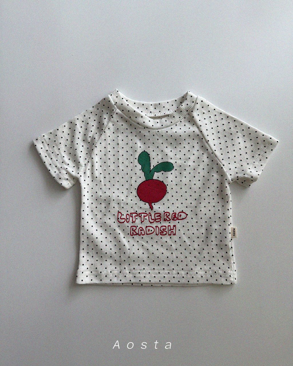 래디쉬티 도트1