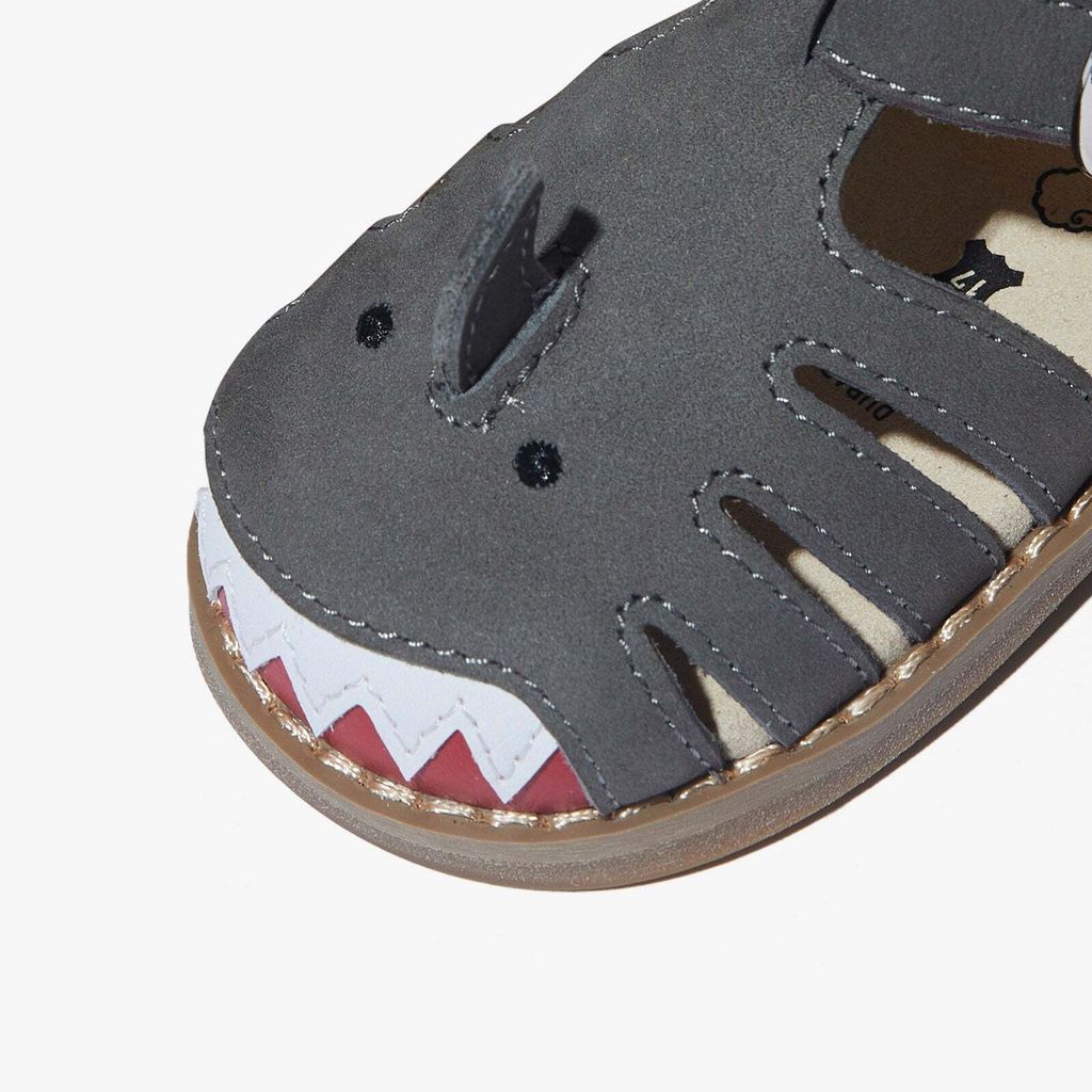 Adventure_-_Shark_3_ba885934-c189-4092-b5c3-71a6fb8bba92