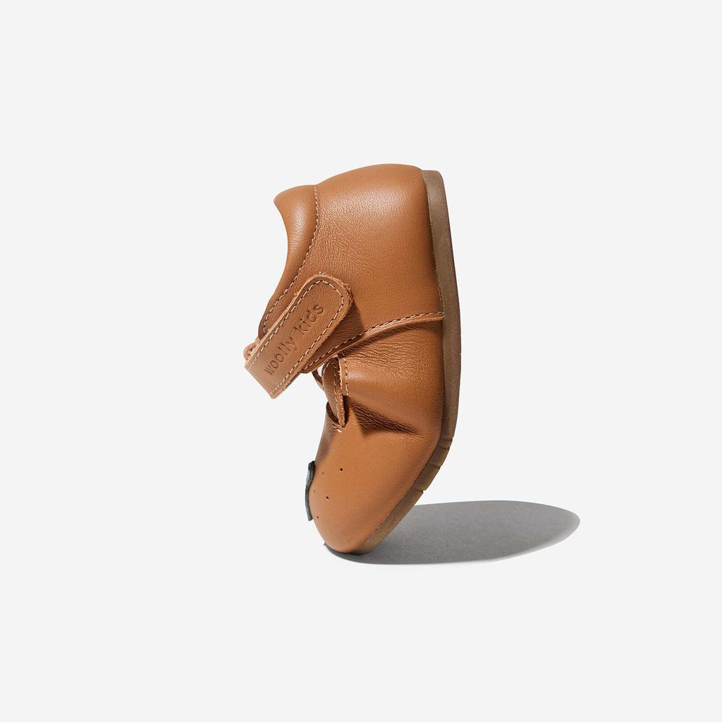 AnimalCatalog-PuppiesBrown_5