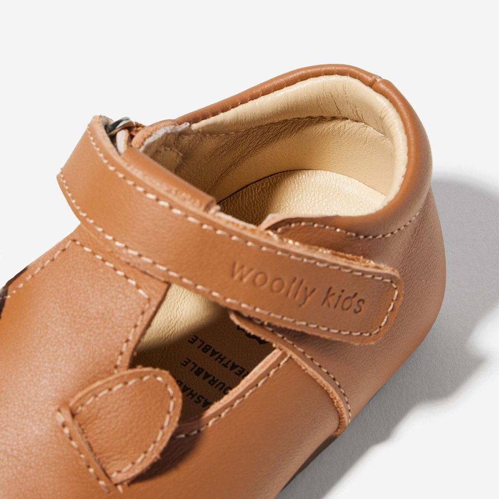 AnimalCatalog-PuppiesBrown_2