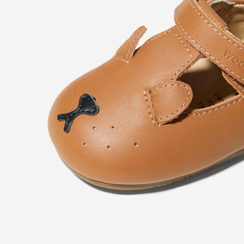 AnimalCatalog-PuppiesBrown_3