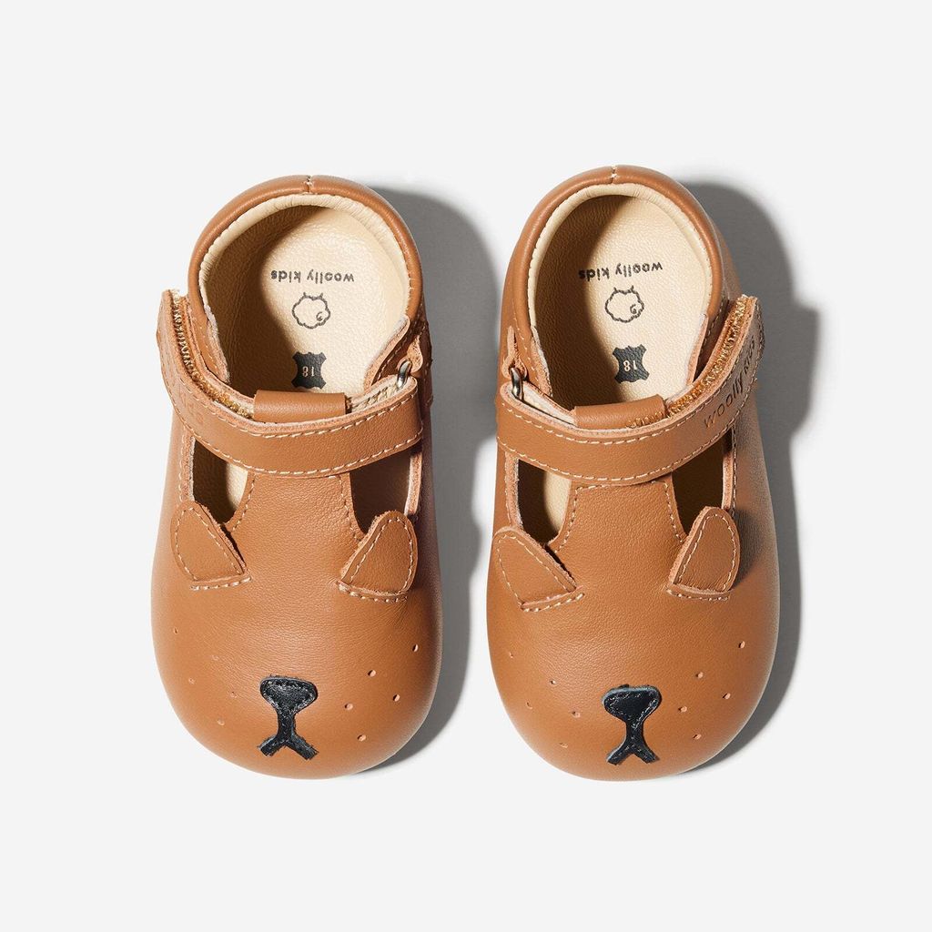 AnimalCatalog-PuppiesBrown_8