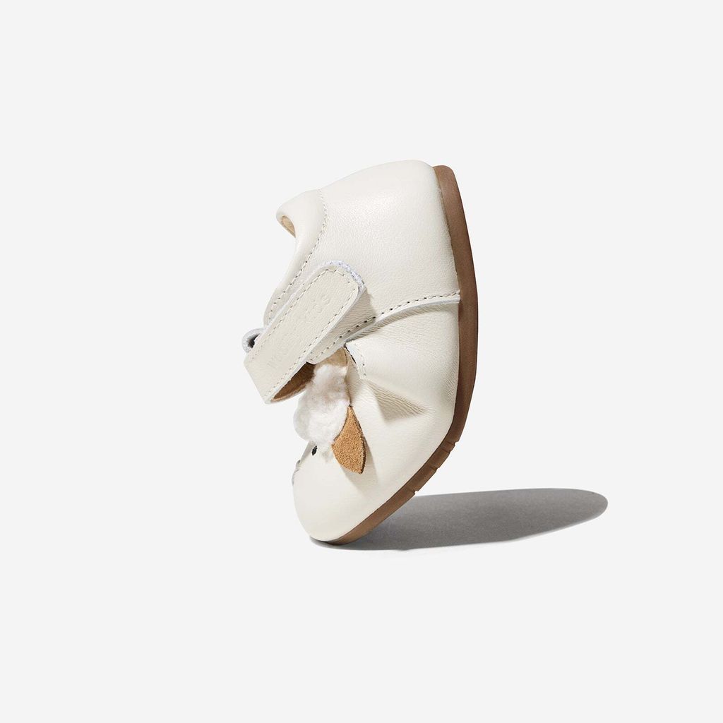 AnimalCatalog-Woolly_5