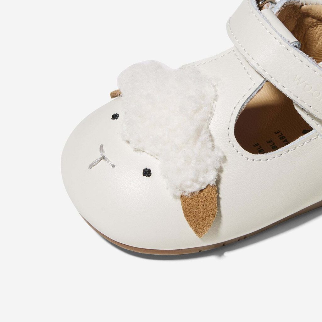 AnimalCatalog-Woolly_3