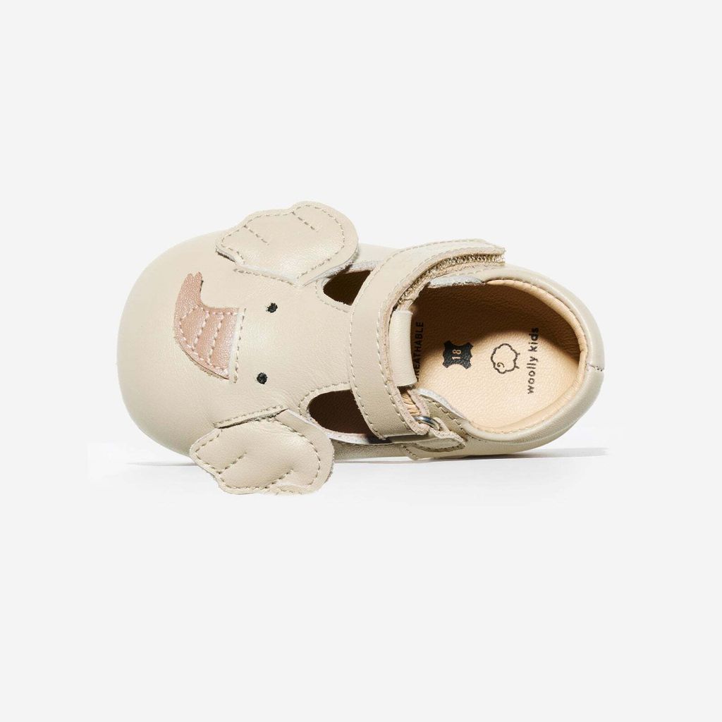 AnimalCatalog-Elmer_7