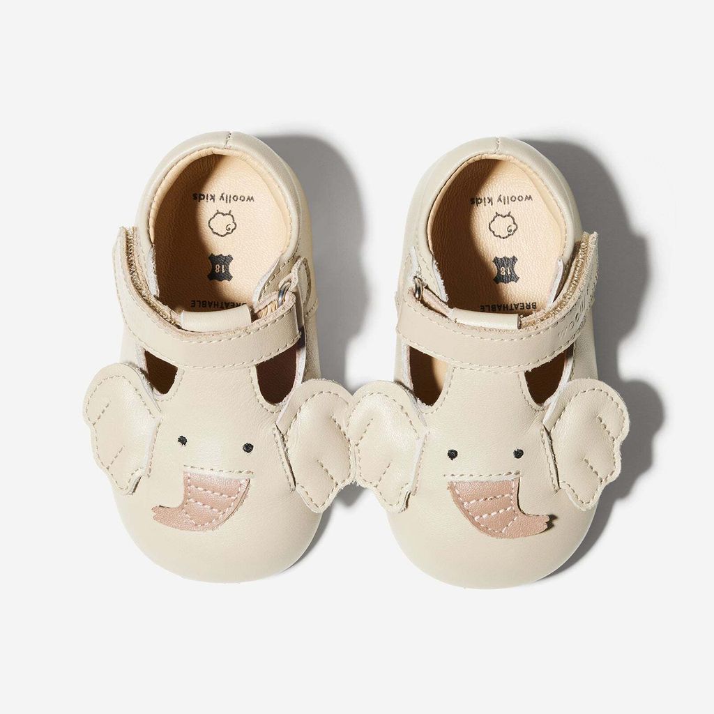 AnimalCatalog-Elmer_8