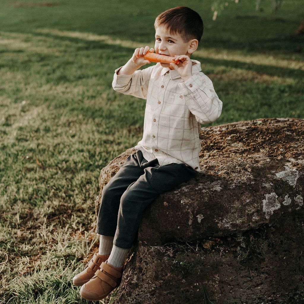 11797896-9e6a-4422-9789-a2dc4cb92c27