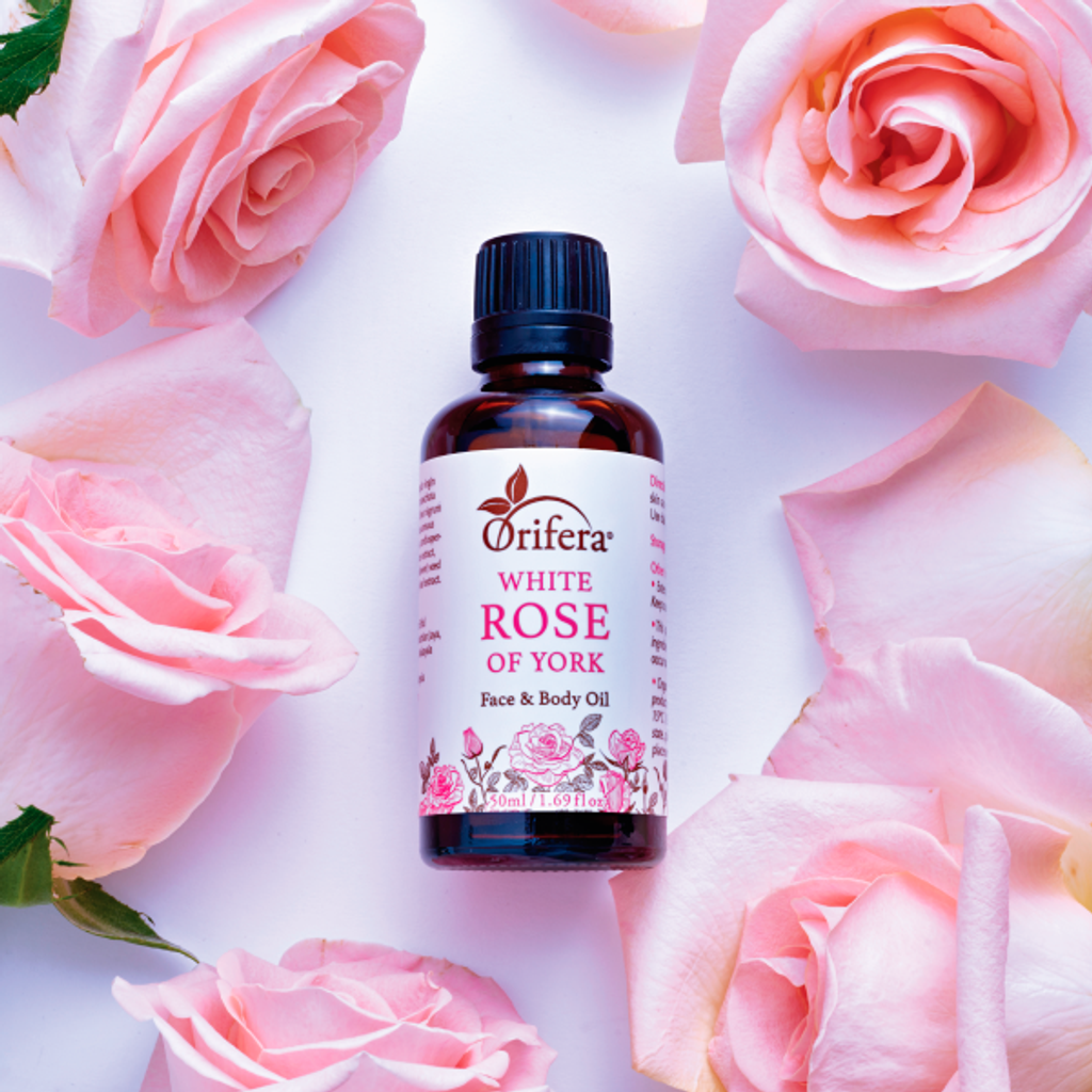 White Rose of York Face and Body Oil Mood Pic