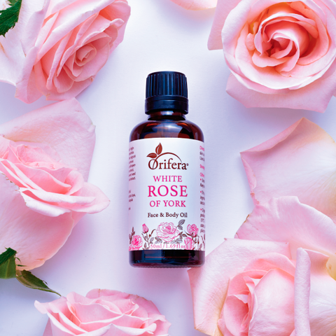 White Rose of York Face and Body Oil Mood Pic
