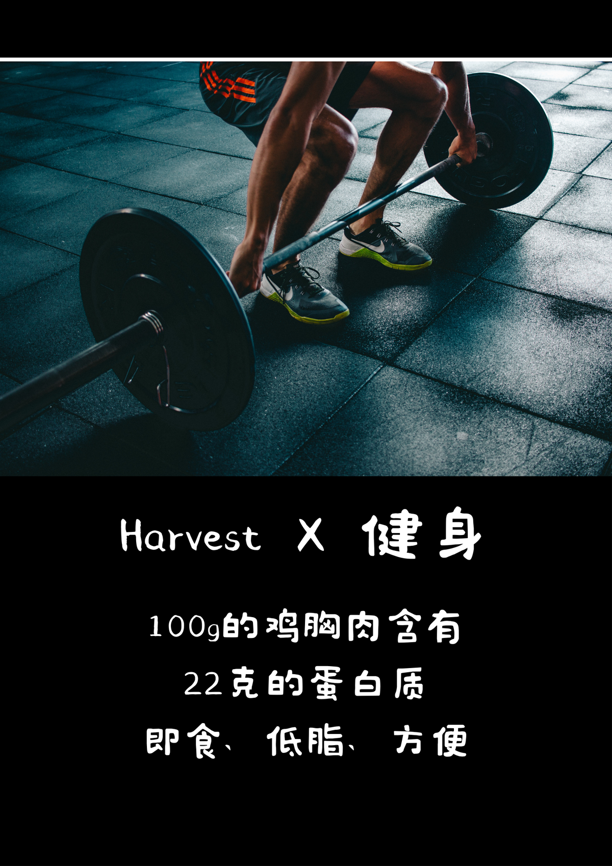 Harvest X 健身