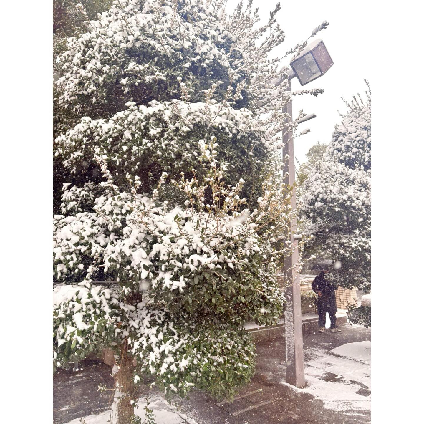 tokuitentw_DVqGvKHiVt2_1
