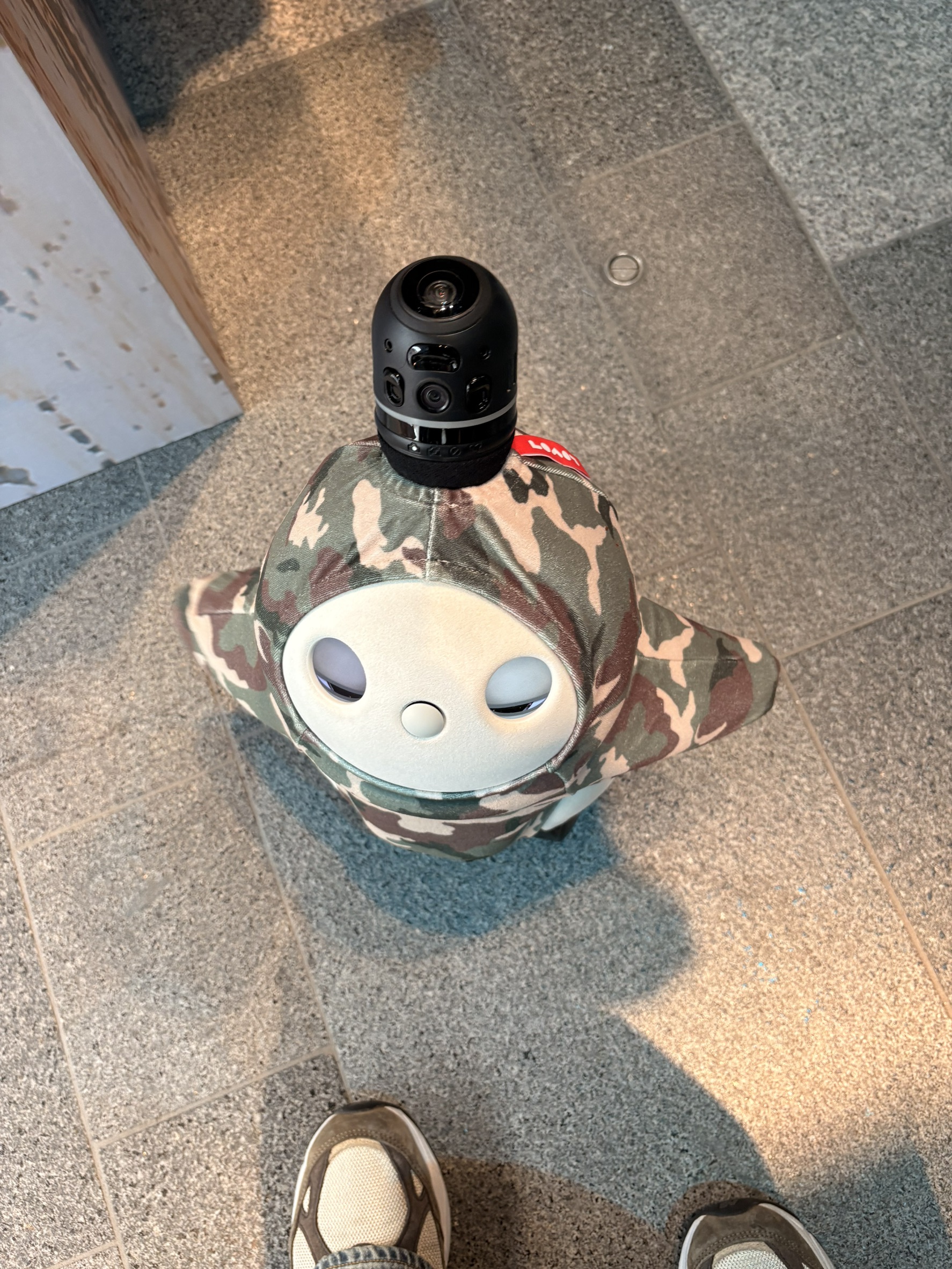 S__29343821_0