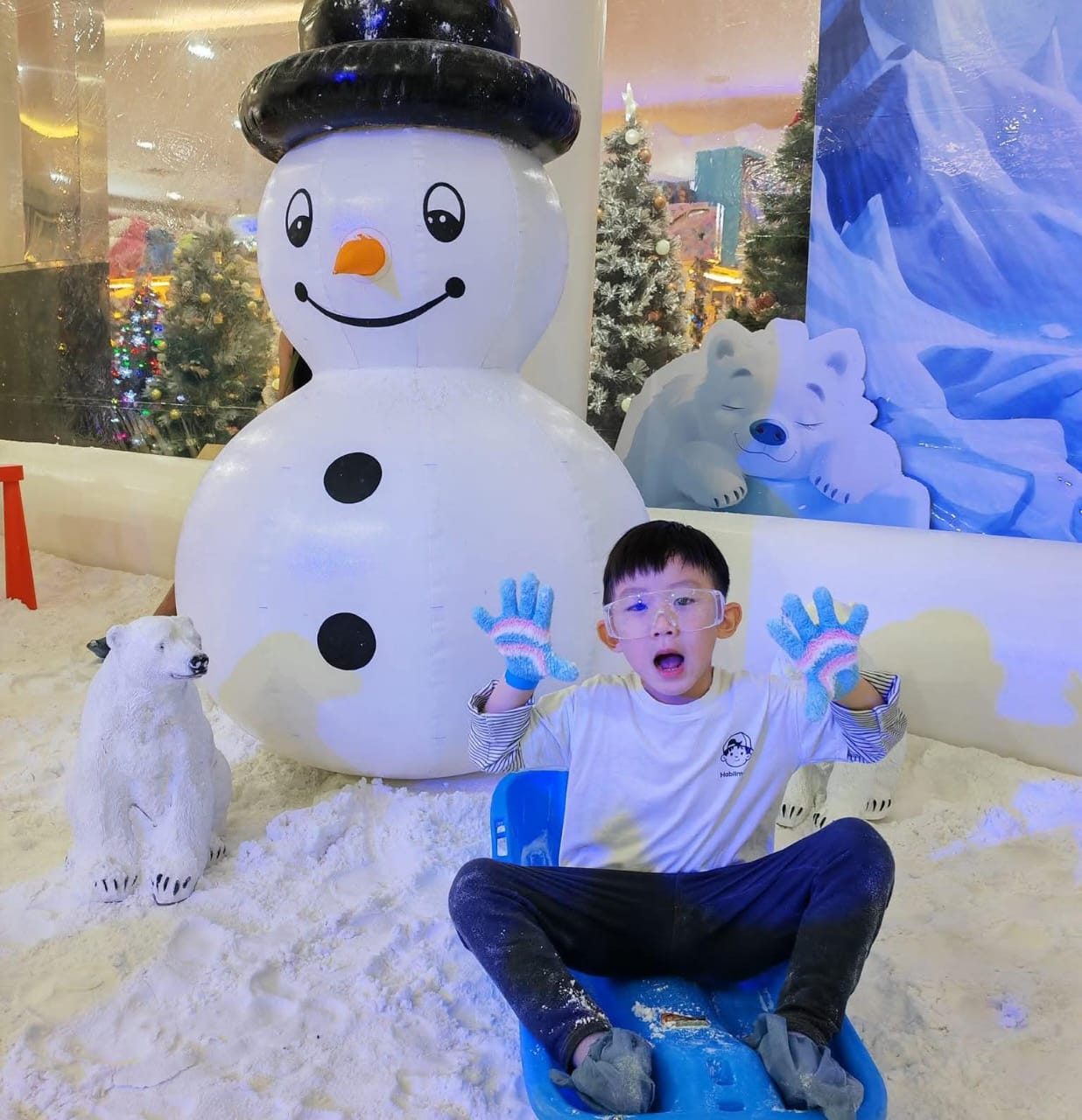 Icy Pixie Neverland Malaysia