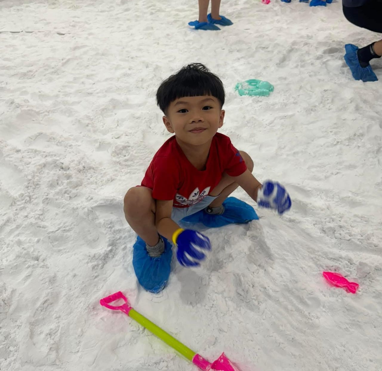 Icy Pixie Neverland Malaysia