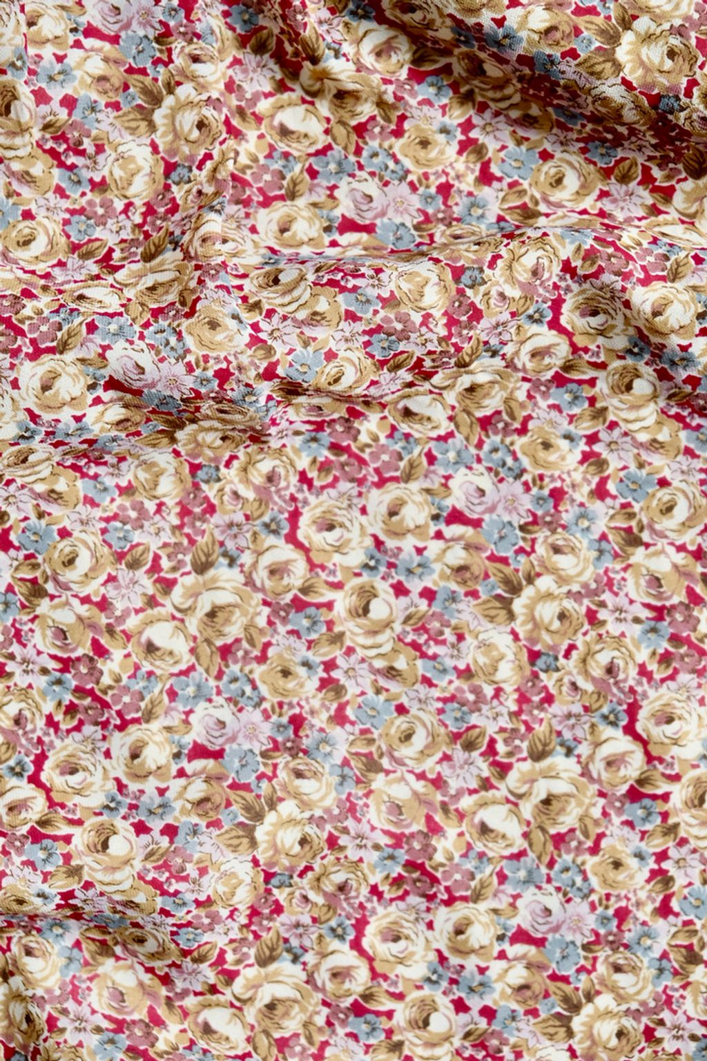 4BD105FE-1ACE-48C8-80F5-D8D2C91310A2_1_105_c