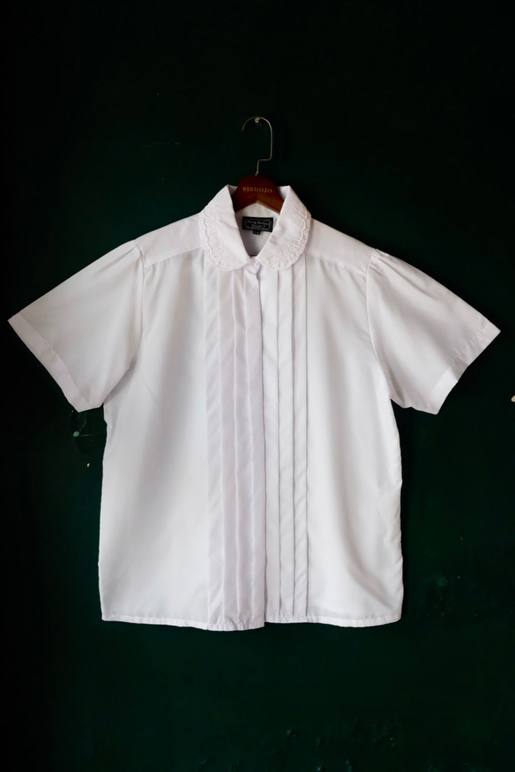 AEE49B37-A516-4E48-96FA-6E8F0714A97D_1_105_c