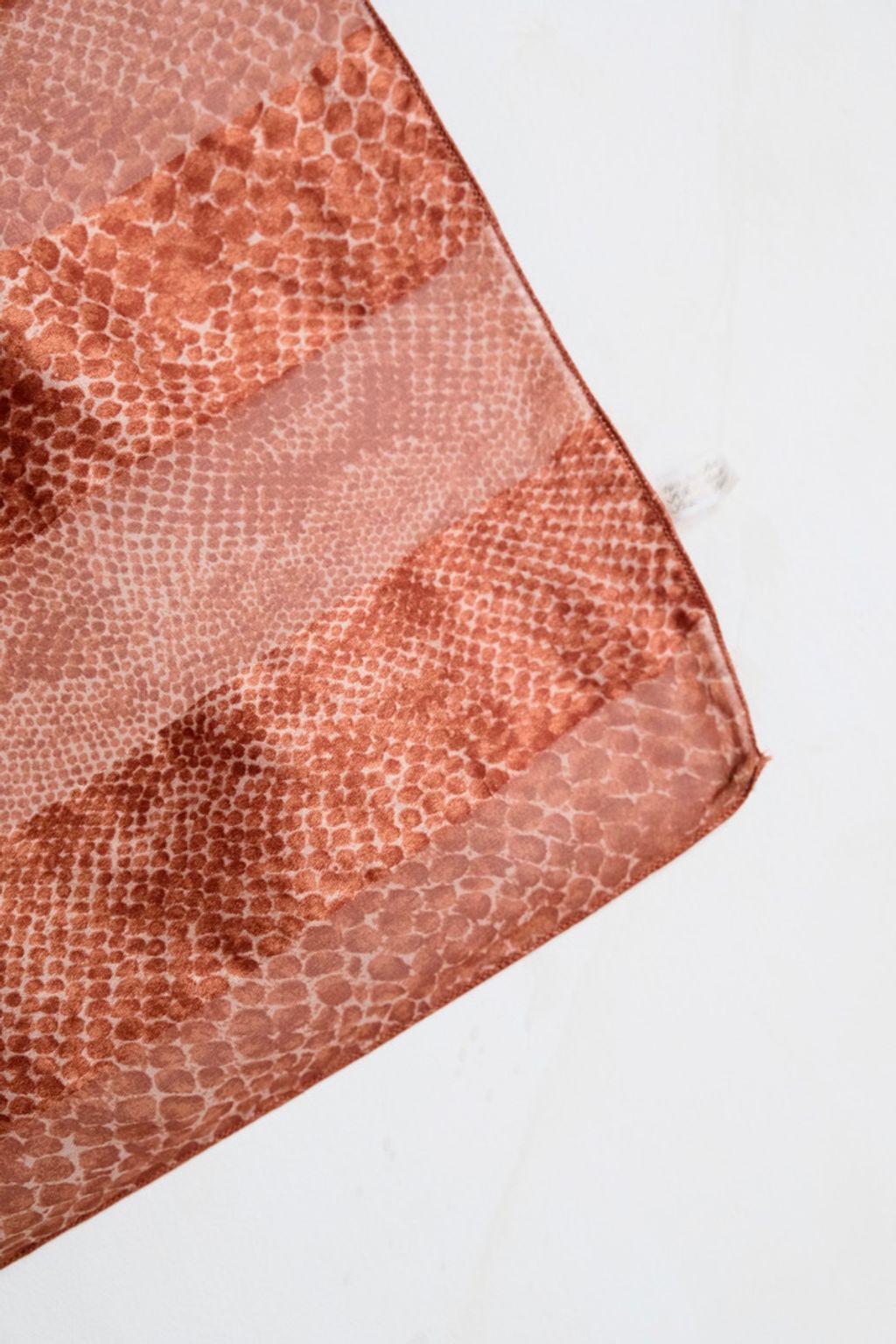 1A7DB818-9670-4005-A76F-1E56AB2ADFAA_1_105_c
