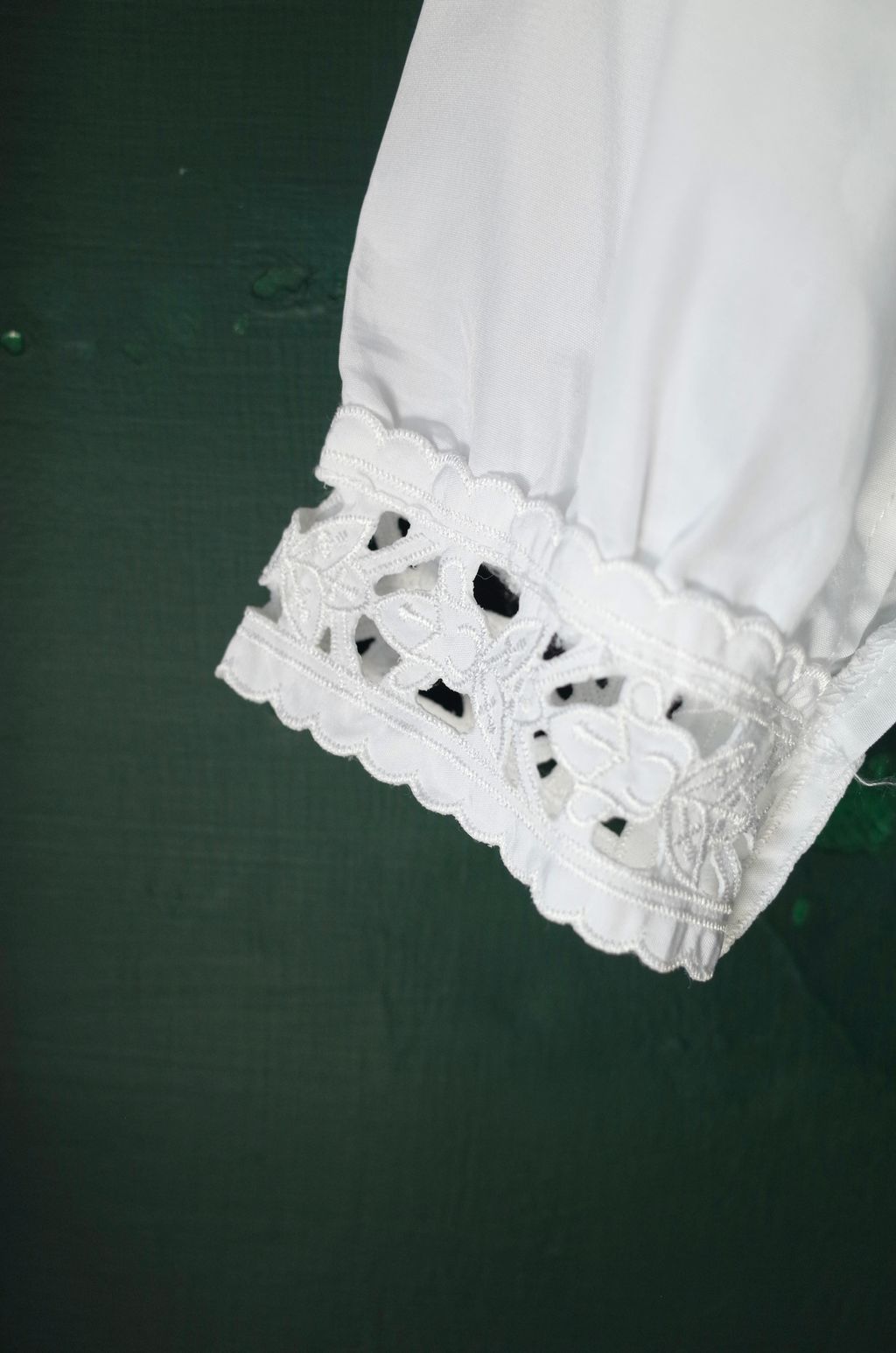 D02036BF-9068-4860-8F7D-1485BE648656_1_201_a