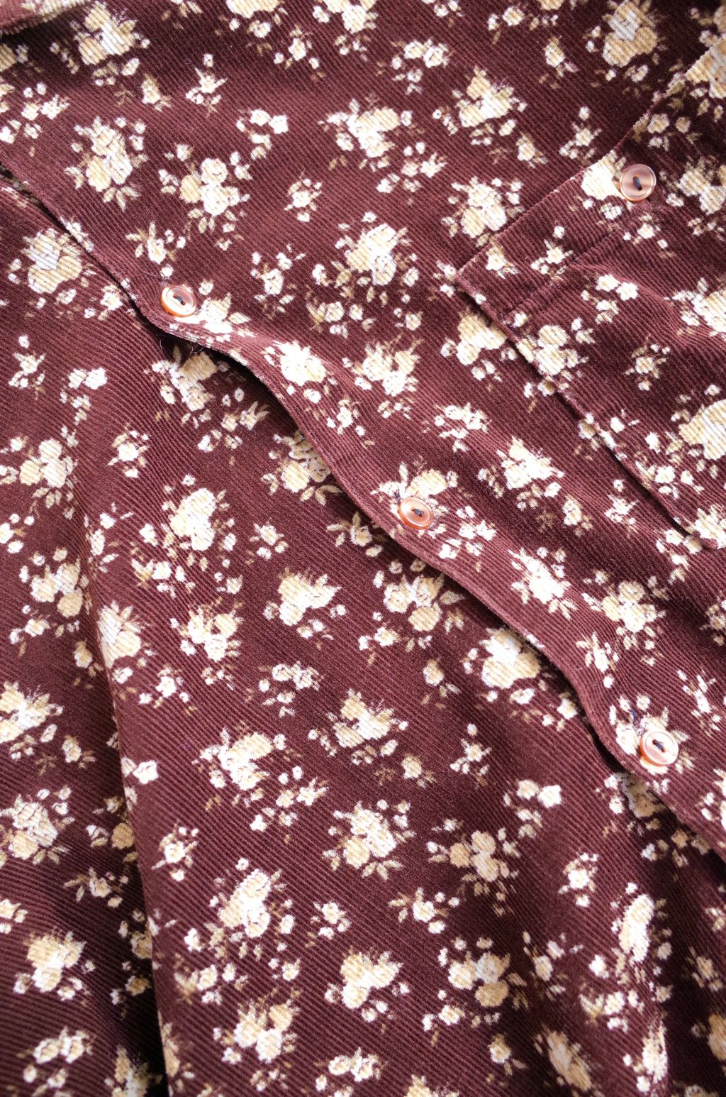 673191A9-61C5-4184-AC11-12CA8438B76A_1_201_a