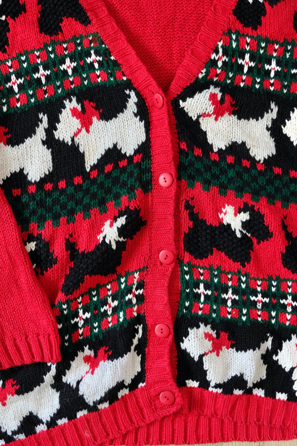 1AA52376-BAC7-404F-8163-F831BF68F81C_1_201_a