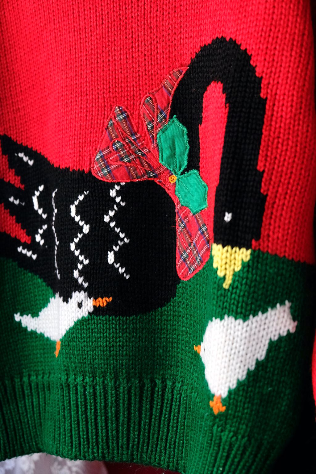 6AE6F375-221A-4125-B30C-0392B5CF9488_1_201_a