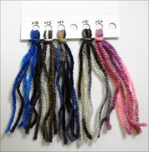 A172佳莉2.jpg