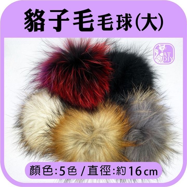 S__10174503.jpg