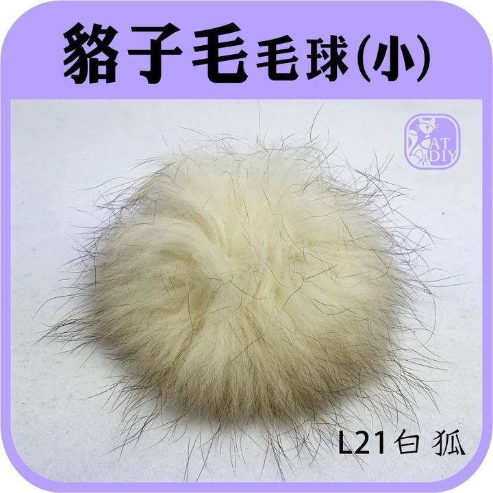 S__10174512.jpg