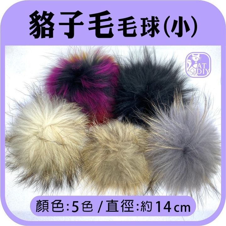 S__10174504.jpg
