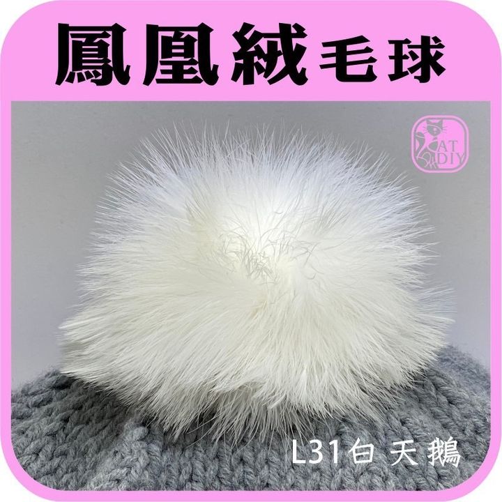 S__10174518.jpg