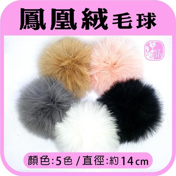 S__10174506.jpg