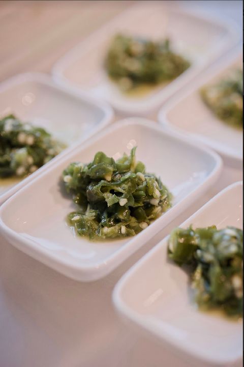 image_59CF624F-77FF-4082-AE00-FB8C9A2C1A49_1771782997