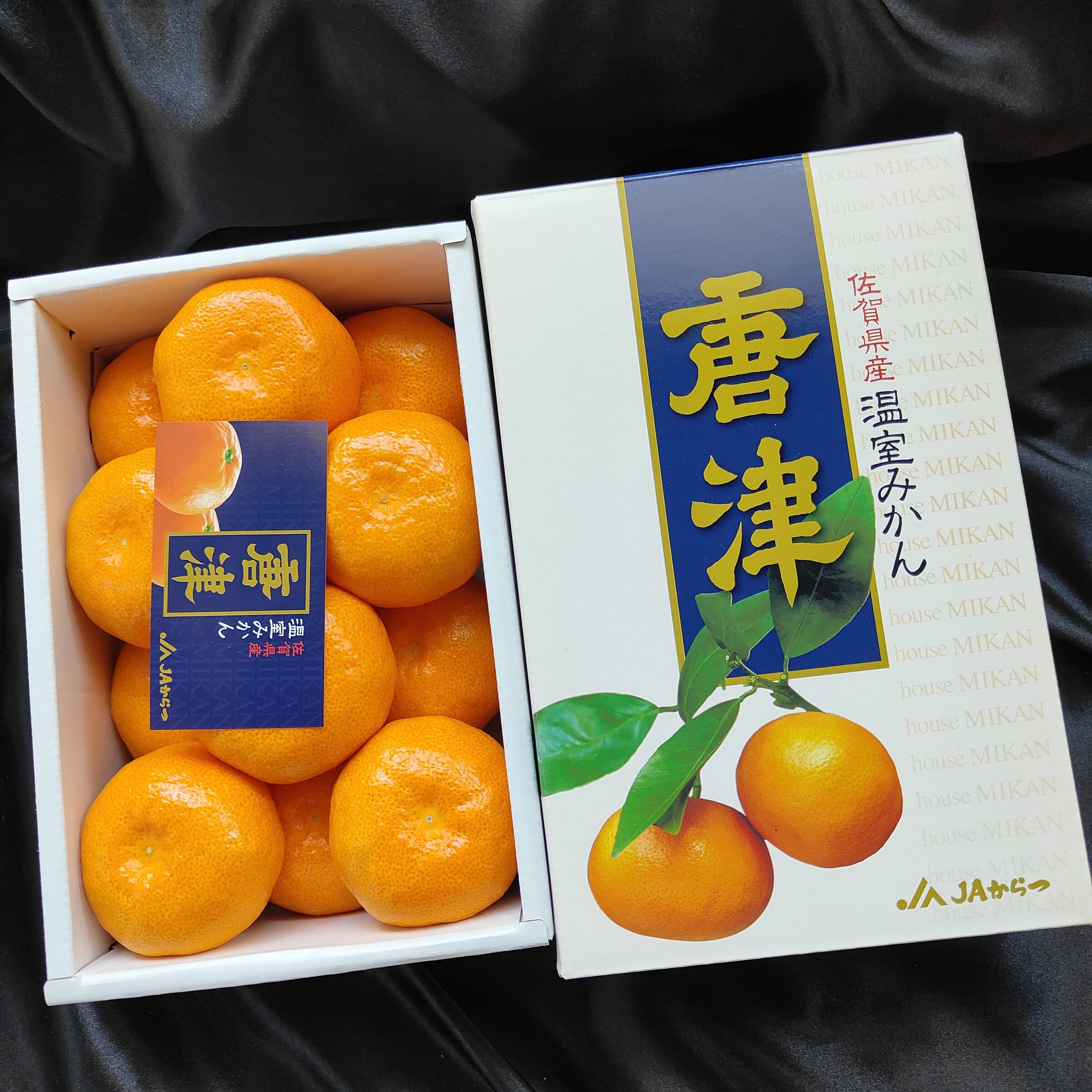 IMG20260603091511
