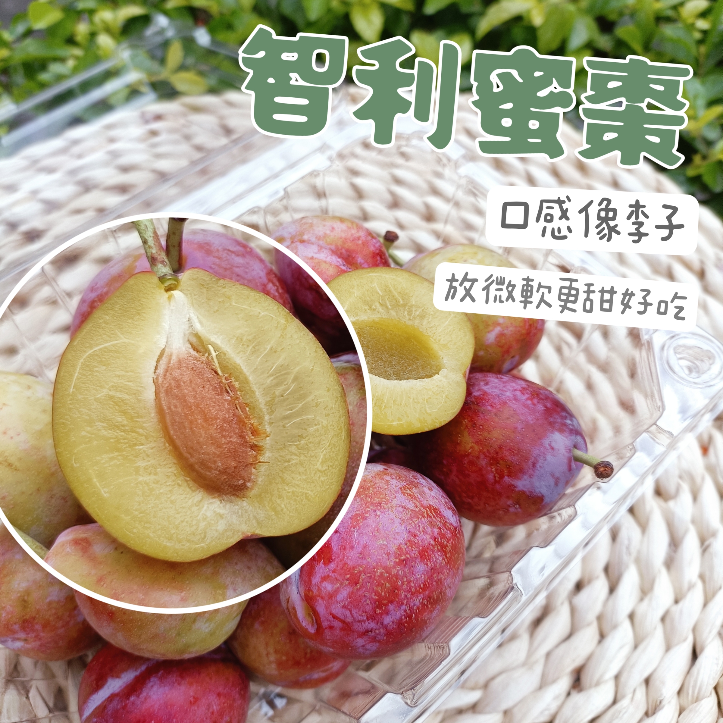 MTXX_MH20230302111247863