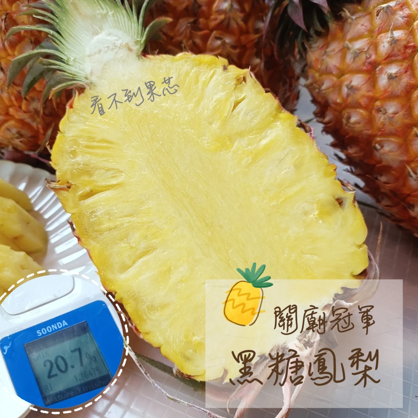 MTXX_MH20230416_113337592-01