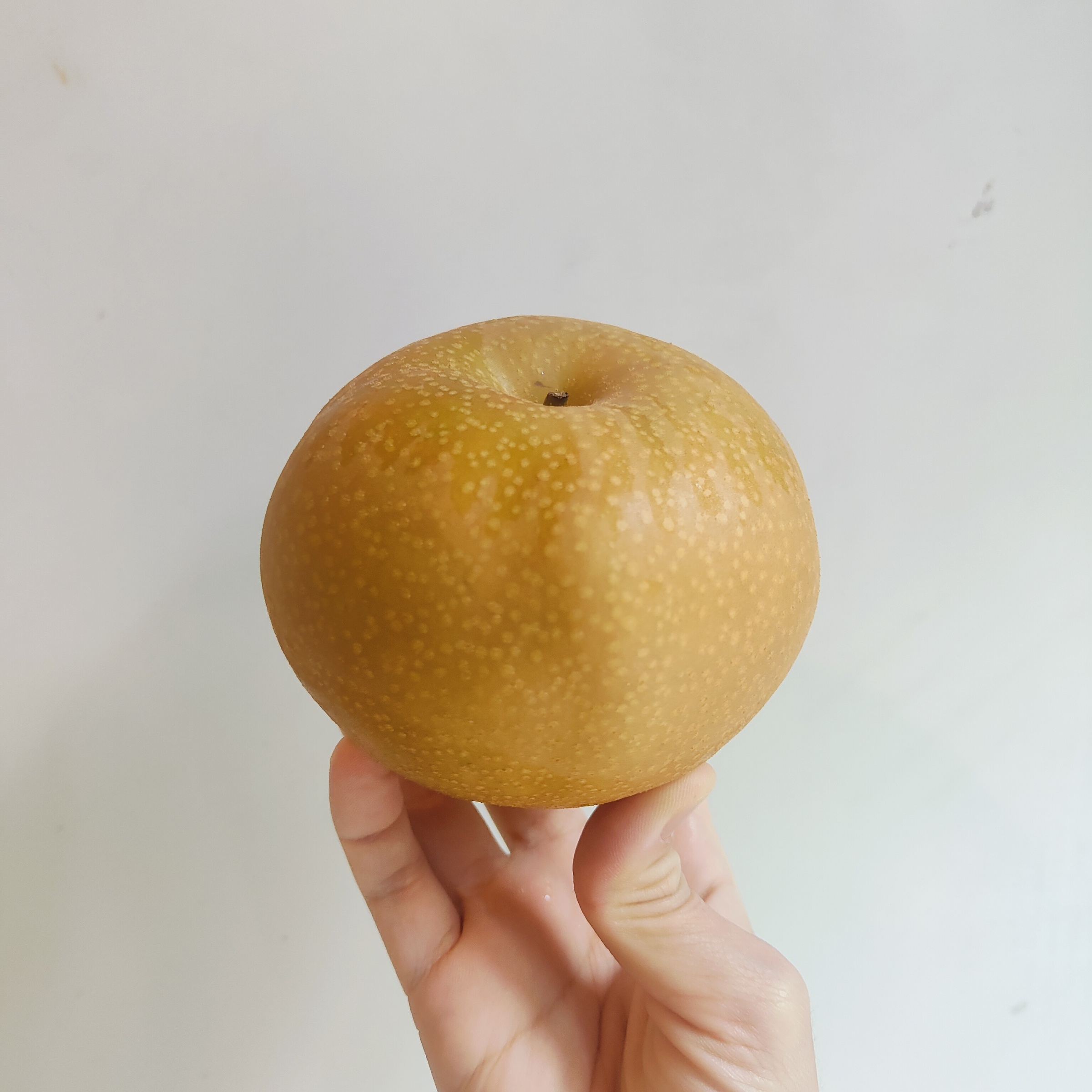 IMG20240928092249