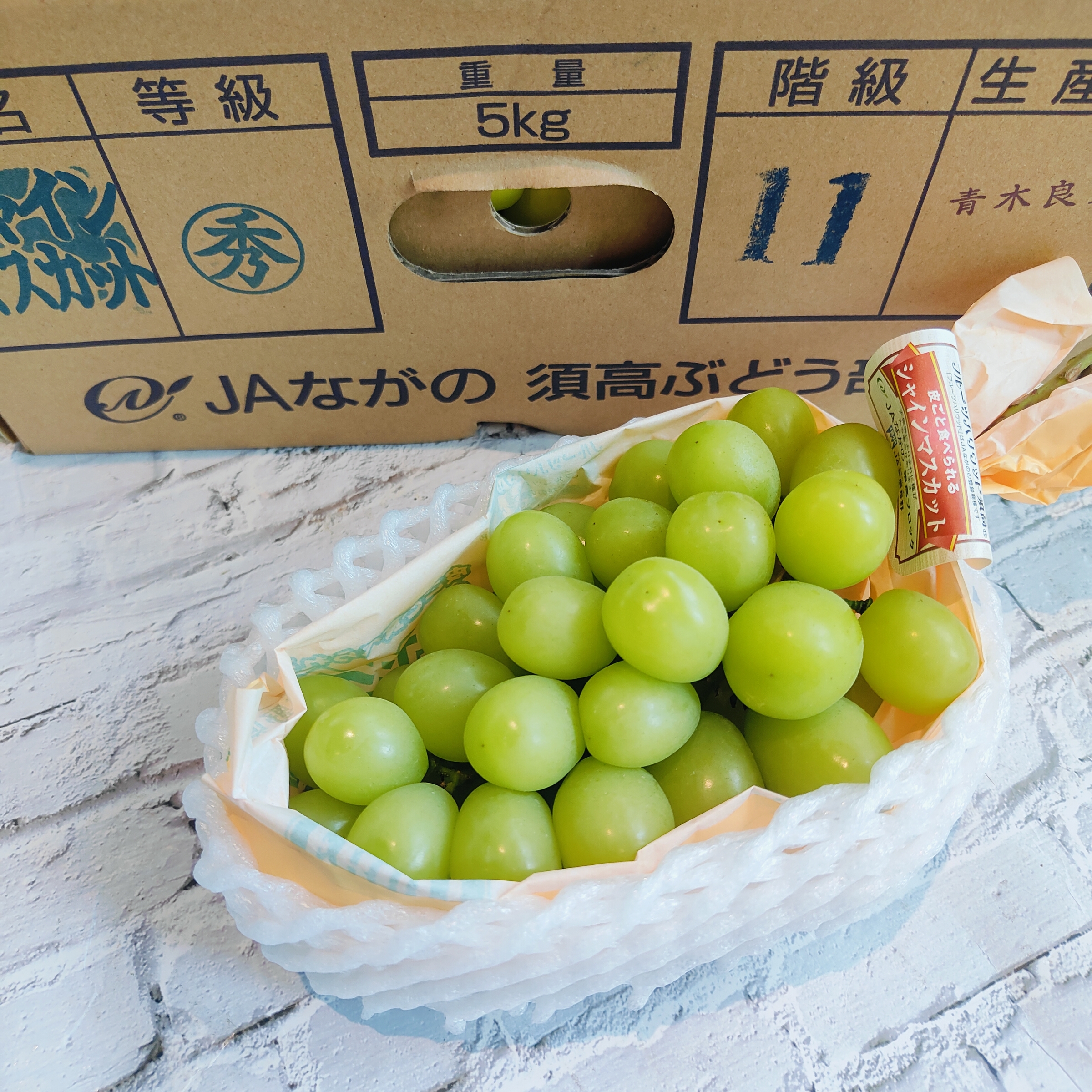 IMG20250516092701