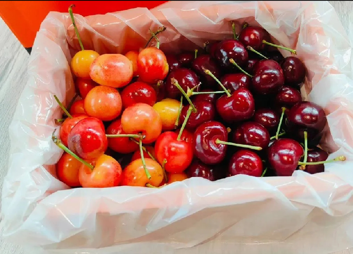 image_D2B793AC-9627-477D-97CC-EA24935849FC_1750907145