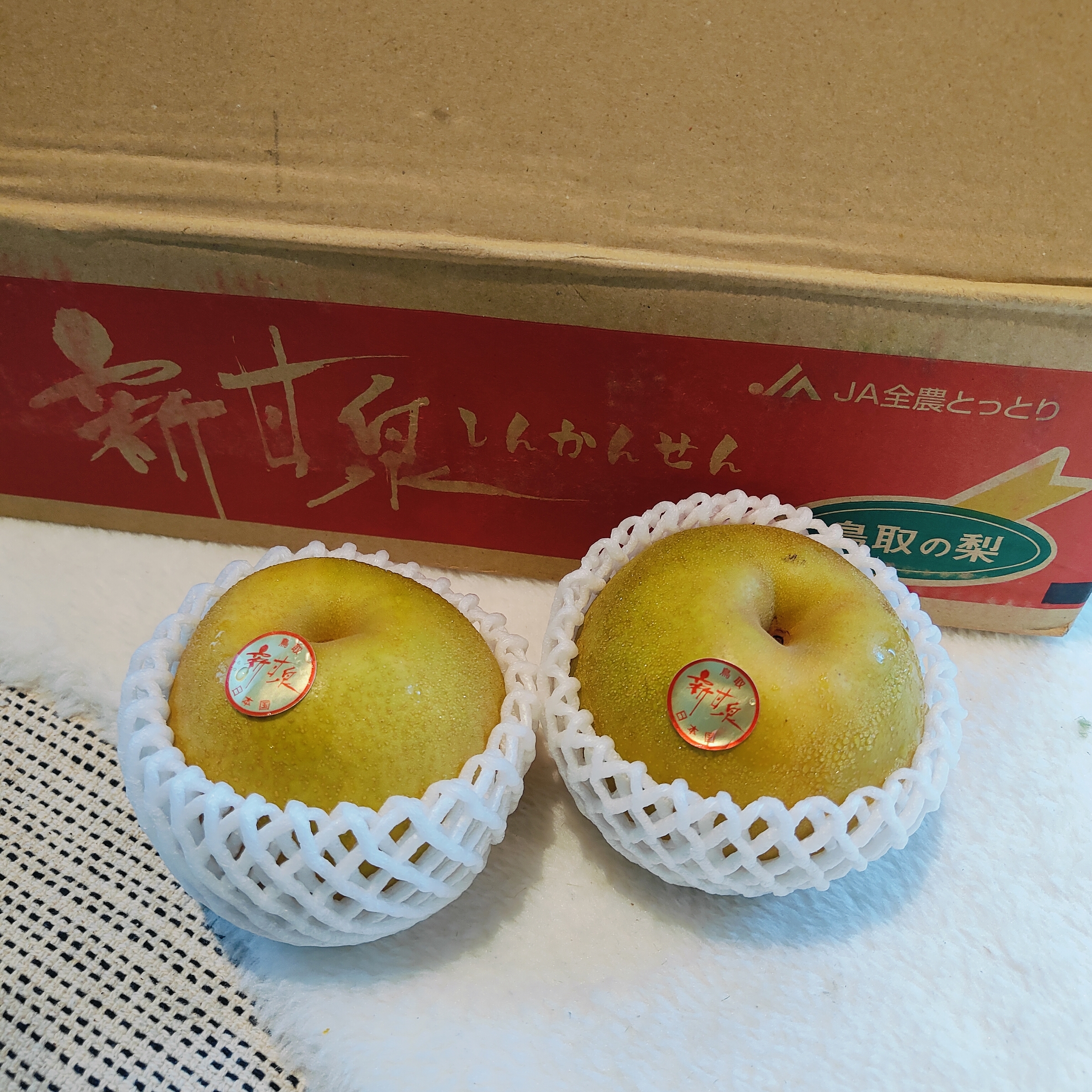 IMG20250916091946