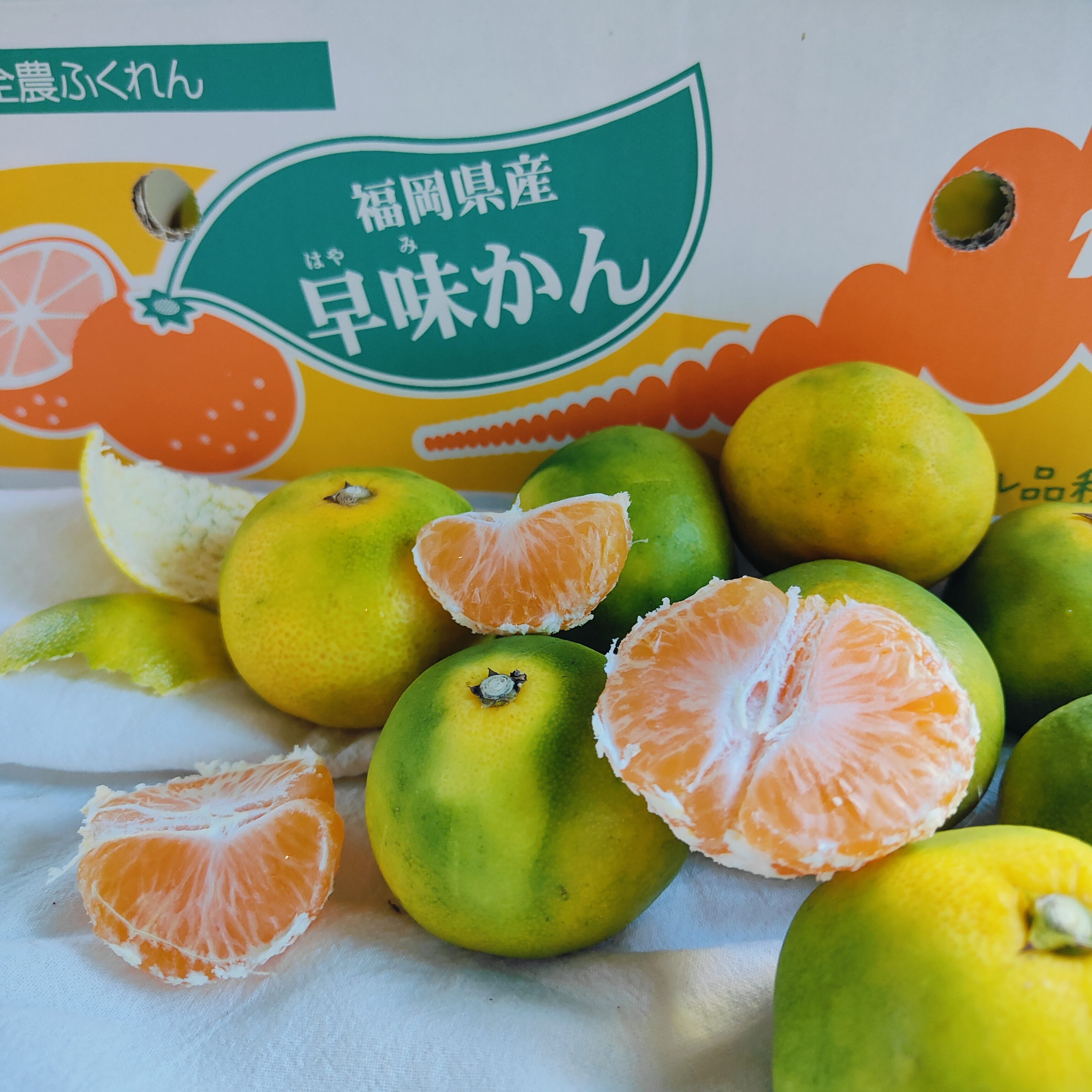 IMG20251007093108