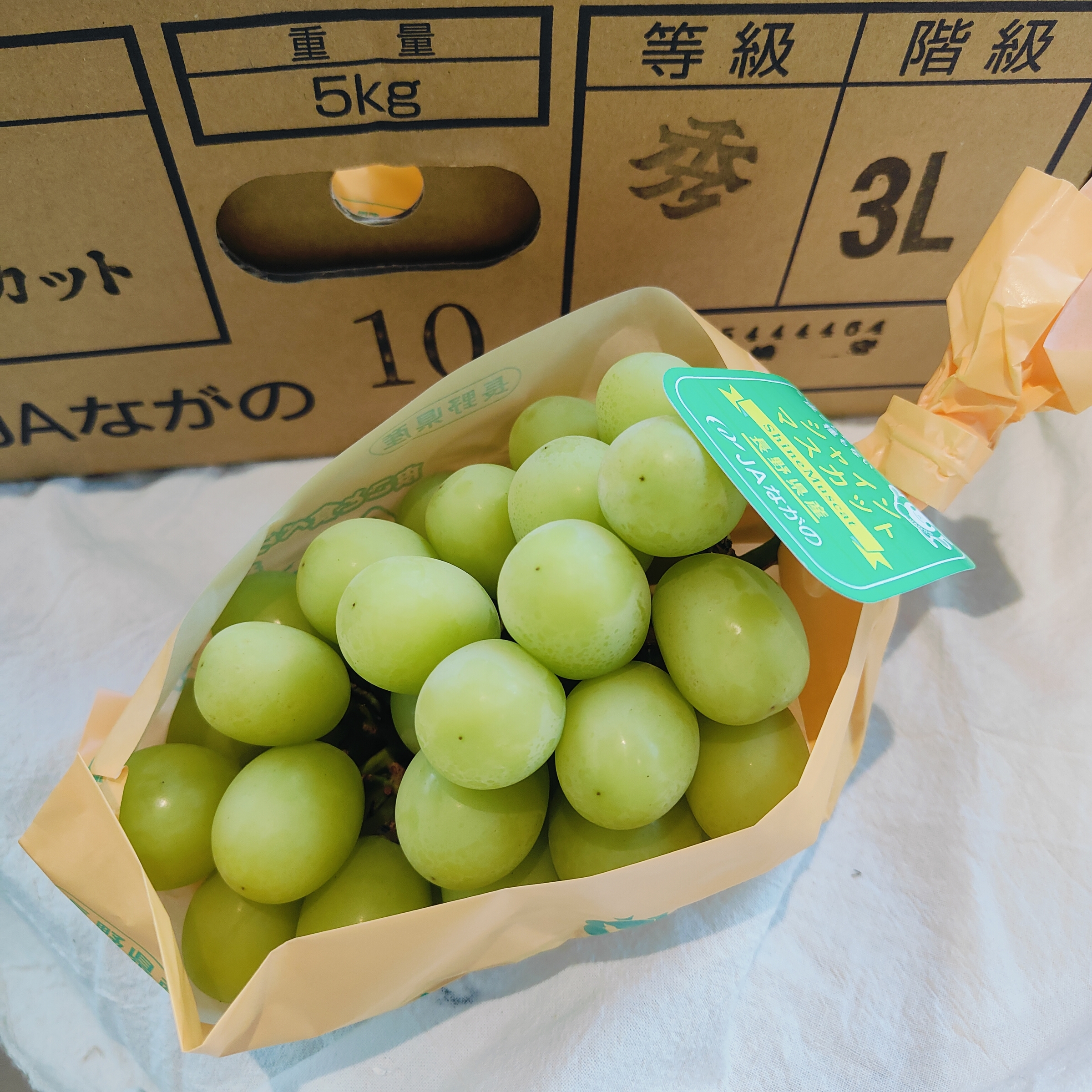 IMG20251003120138