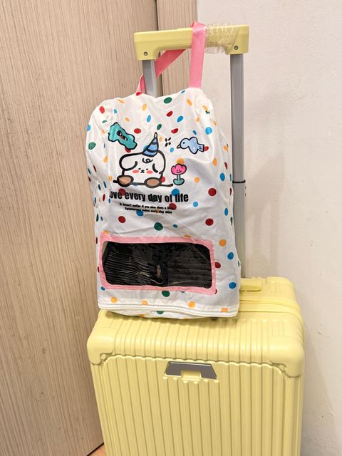 image_9EE8DB2B-E615-49AD-980E-E943F4E8D25E_1772621030