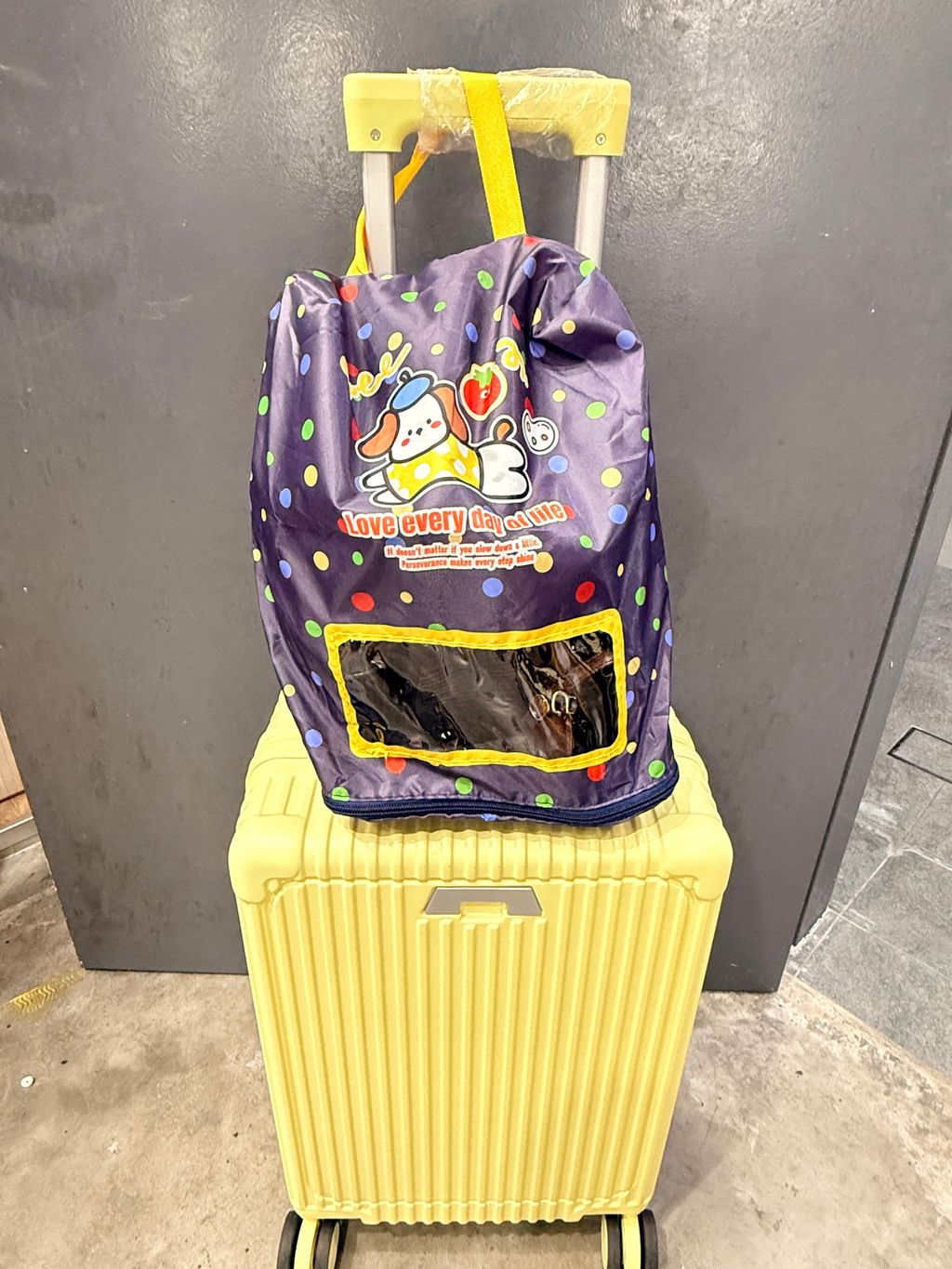 image_E3894439-11BF-403F-A824-812BFA167D25_1772621030