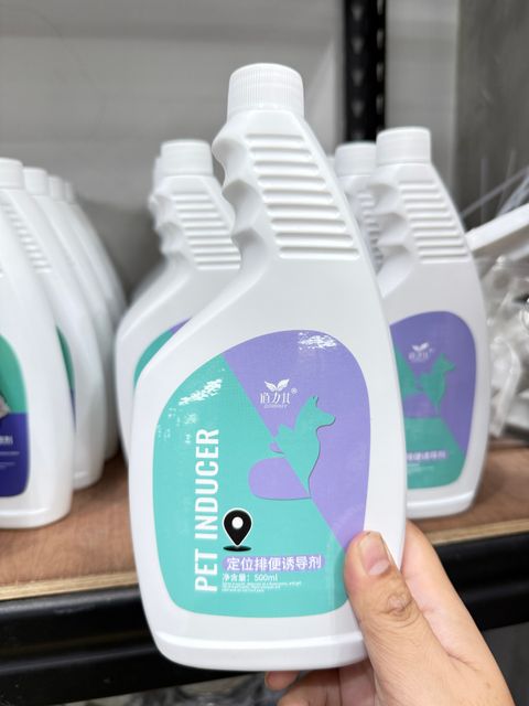 IMG_9748-1732096494183