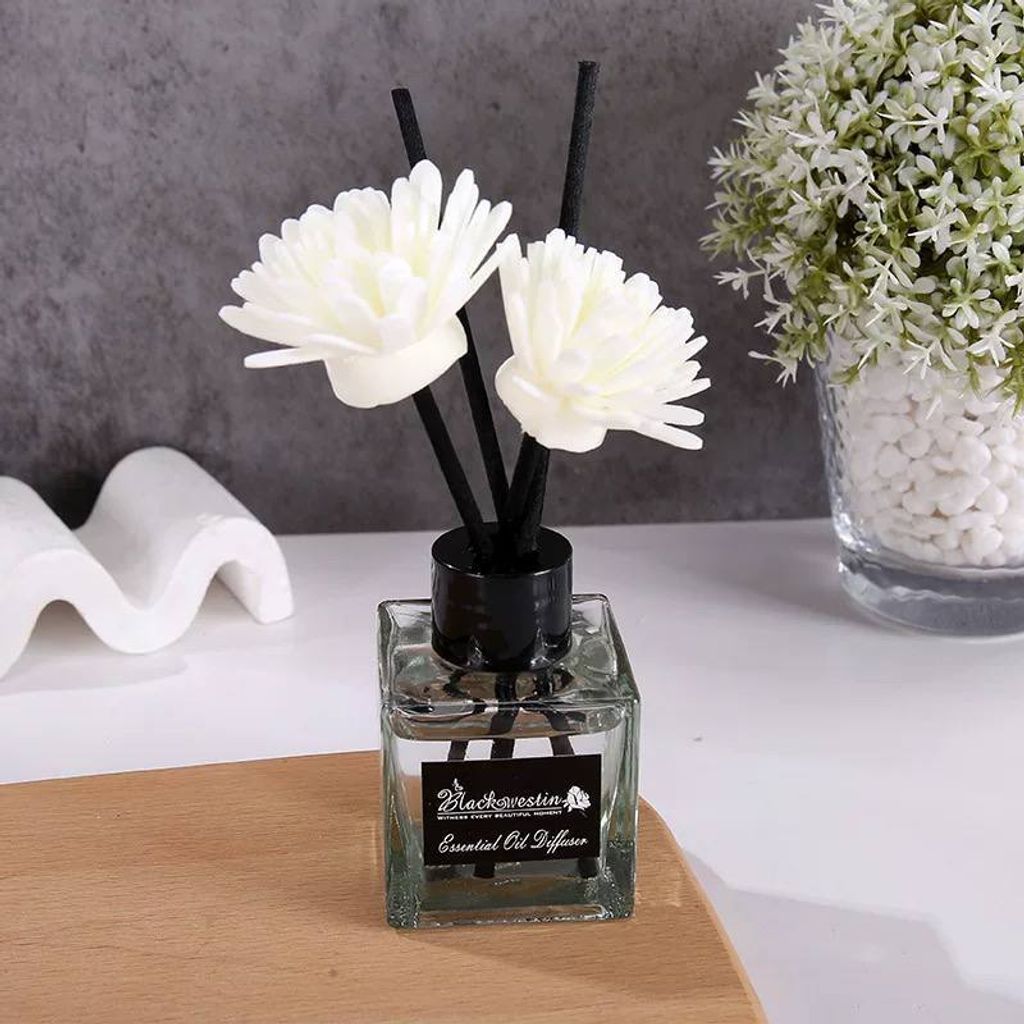 image_1BA41001-58E9-4430-A1C7-FD20E2ED076E_1747402907