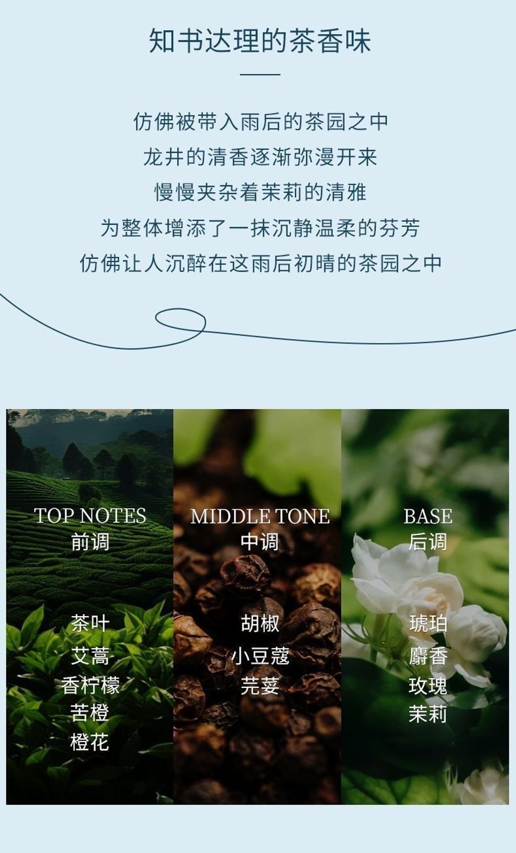 image_FA3FED2D-653D-45EB-818E-B940BBFF2381_1754895497