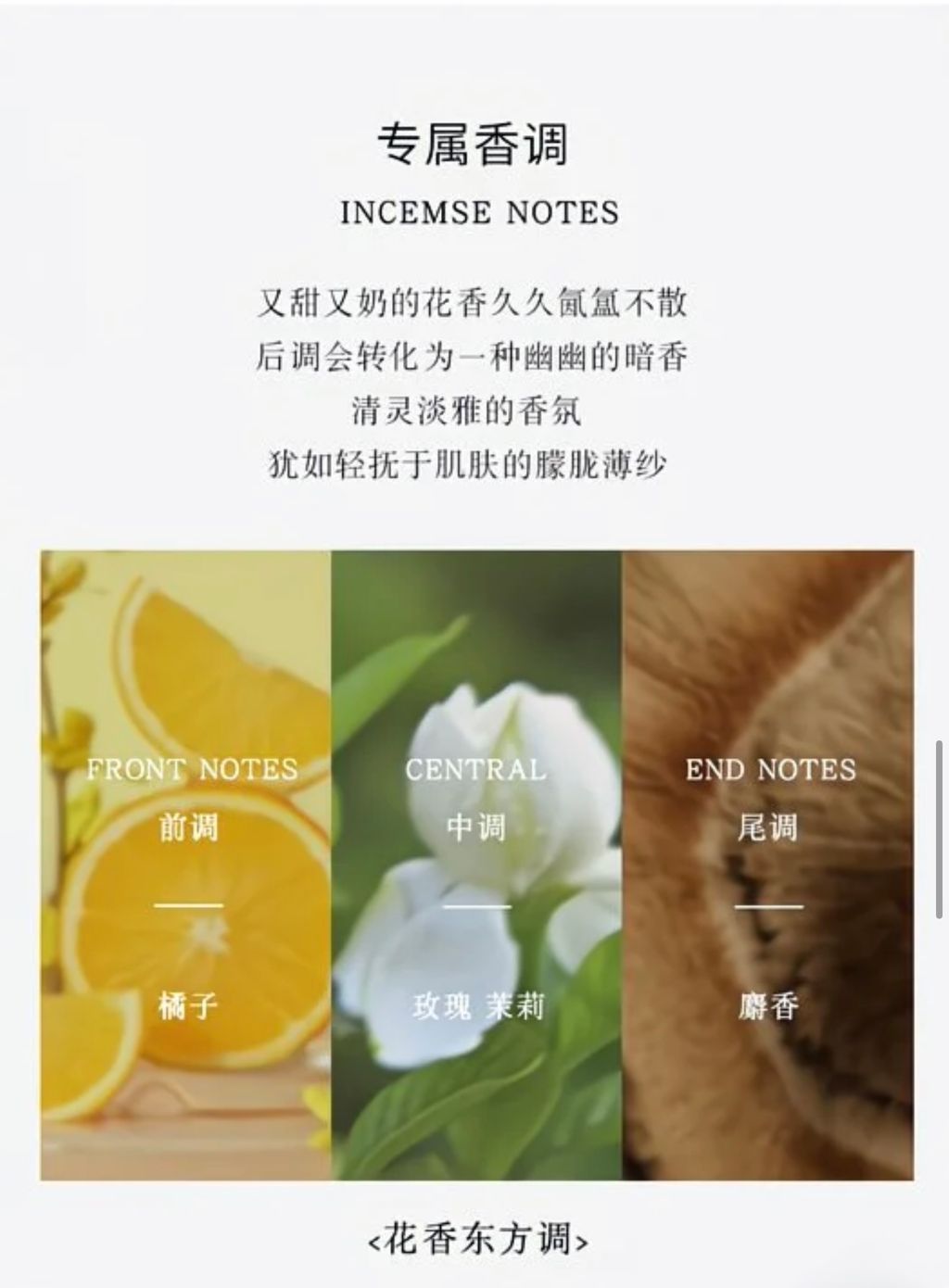 image_FF8F67D6-92F8-4825-A727-C595B289FCEE_1754991230