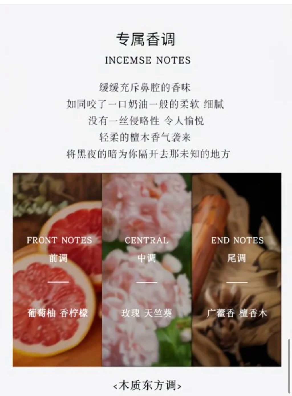 image_713D5DFE-E3ED-4FE2-B188-5CEC0B9392B3_1754991246